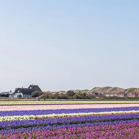 Neeltje - Chaletpark Luttikduin Aan Zee Chalé *