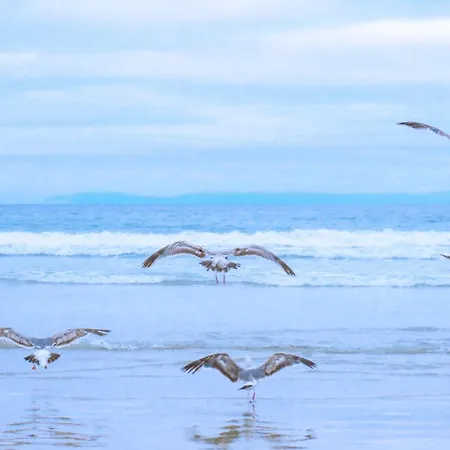Neeltje - Chaletpark Luttikduin Aan Zee Callantsoog